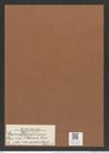 Eunotogramma weissii var. productum Grove e St. (de-Toni-Nr.: Genus 128, Species 3564) Zeichnungen Sammlung Grunow Mappe 03732 (Herbarium_W_Grunow_drawings_Folder_03732)